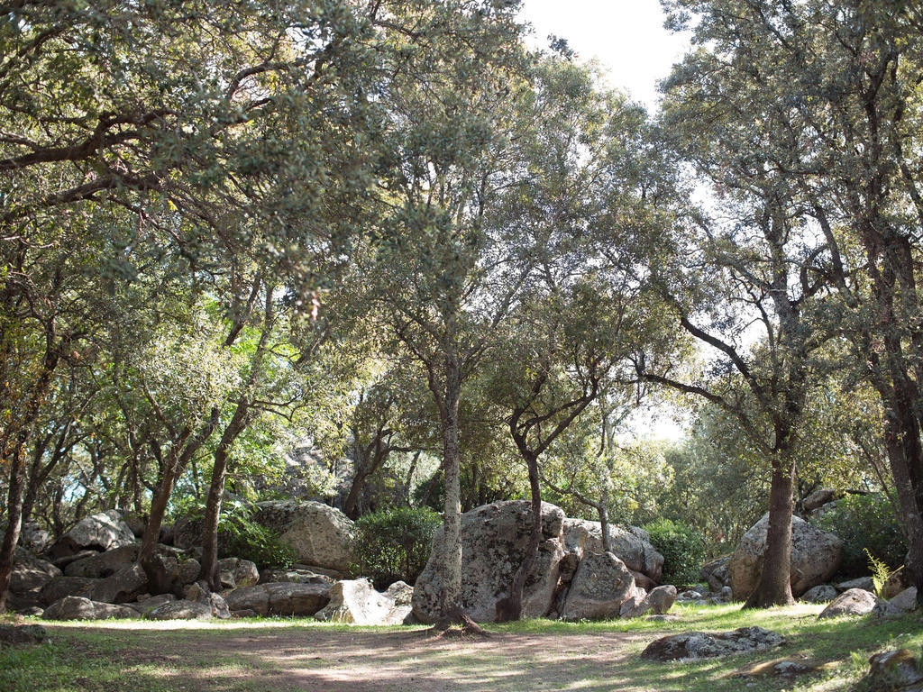 Camping La Vetta Porto-Vecchio  Bagian luar foto